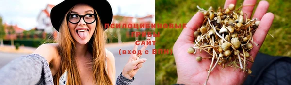 твердый Алзамай