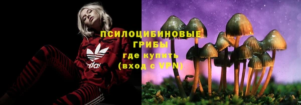 гидра Алексеевка