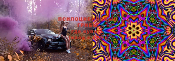 твердый Алзамай