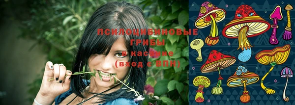 кокс Алексин