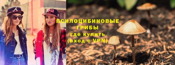 твердый Алзамай